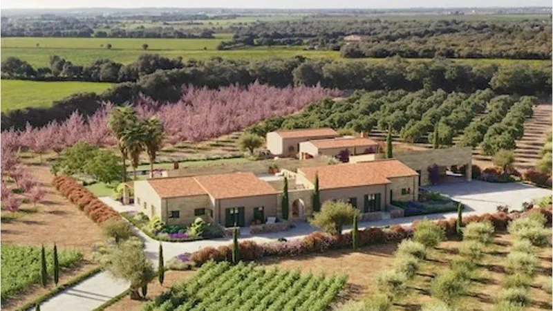 Finca in Campos - Captura4