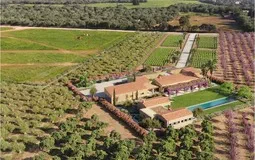 Finca in Campos - Captura5