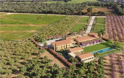 Finca in Campos - Captura5