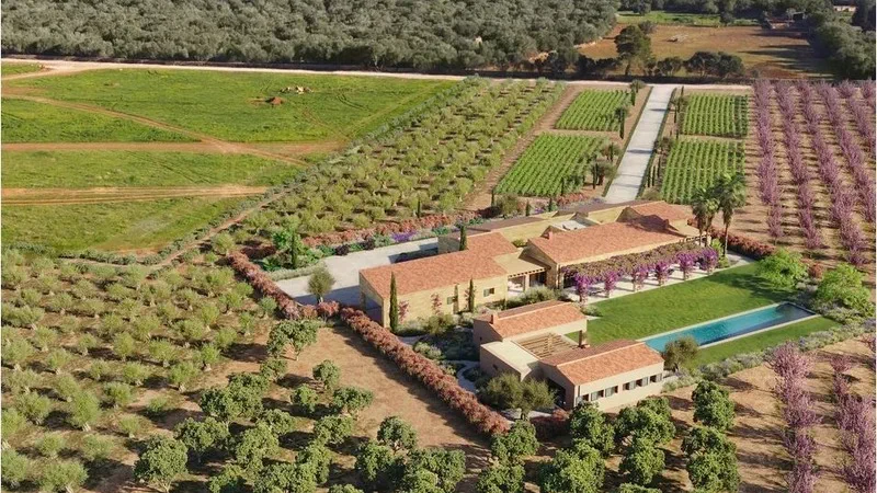 Finca in Campos - Captura5