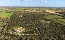 Finca in Campos - Captura7