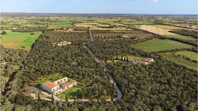 Finca in Campos - Captura7