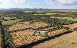 Finca in Campos - Captura8