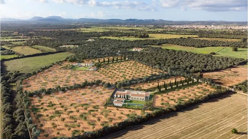 Finca in Campos - Captura8