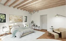 Finca in Campos - Captura12