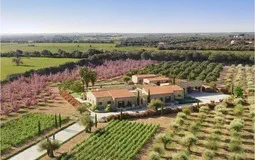 Finca in Campos - Captura13