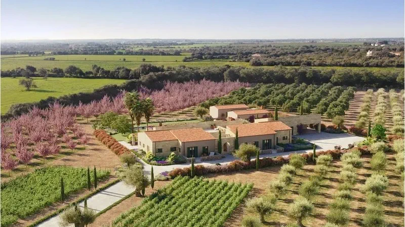 Finca in Campos - Captura13