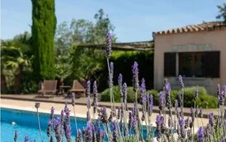 Finca in Santa Maria del Camí - Captura5
