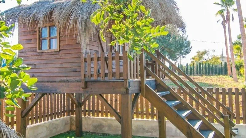 Finca in Inca - Captura34