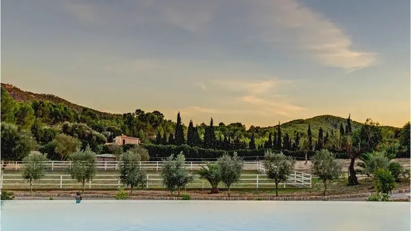 Finca in Calvià Village - Captura4