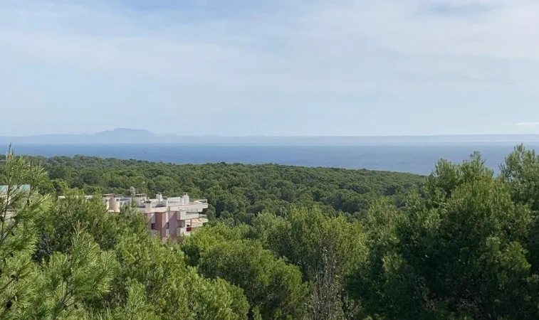 Penthouse in Sol de Mallorca - WhatsApp Image 2023-08-09 at 11.10.582