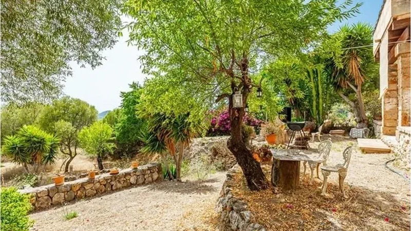 Finca in Andratx Village - Captura16