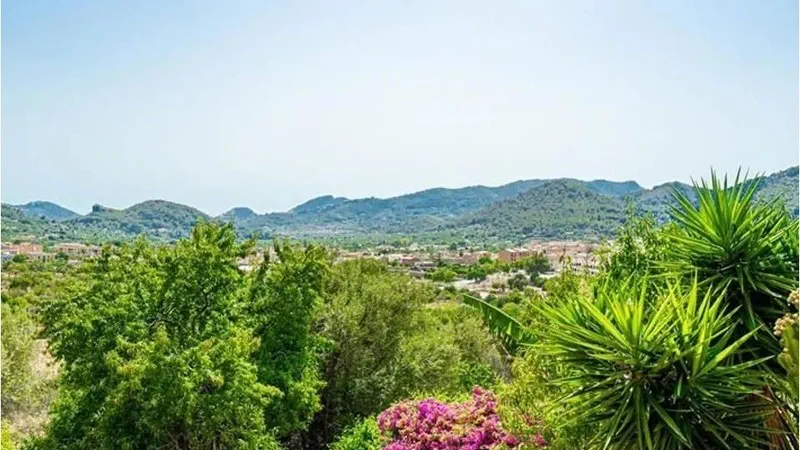 Finca in Andratx Village - Captura17