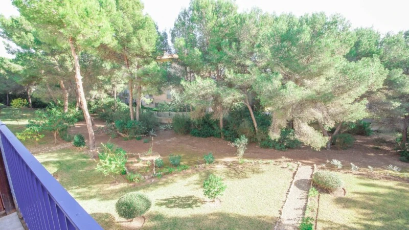 Penthouse in Sol de Mallorca - Garden community