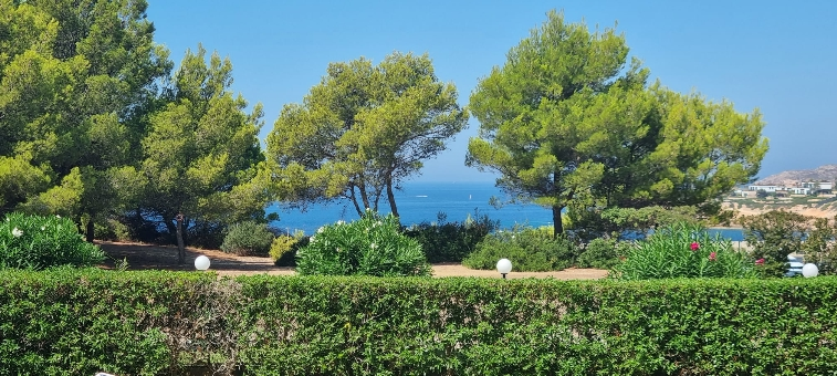 Garden Apartment in El Toro - Port Adriano - WhatsApp Image 2023-08-22 at 10.47.362