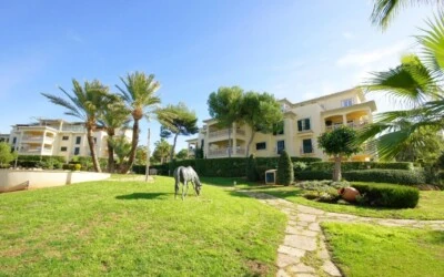 Apartment in Nova Santa Ponsa - A-Ponsa-105_2_Elegant Gardens