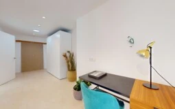 Villa in Nova Santa Ponsa - V-Ponsa-677-11242024_105723