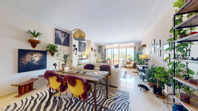 Apartment in Nova Santa Ponsa - A-Ponsa-675-05312024_141427