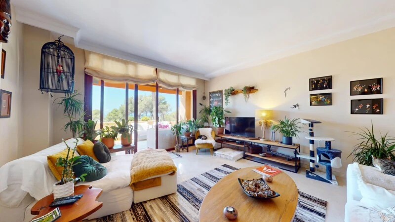 Apartment in Nova Santa Ponsa - A-Ponsa-675-05312024_141540