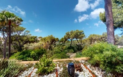 Apartment in Nova Santa Ponsa - A-Ponsa-675-05312024_143709