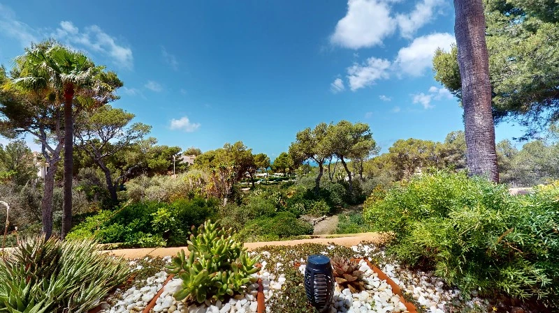 Apartment in Nova Santa Ponsa - A-Ponsa-675-05312024_143709