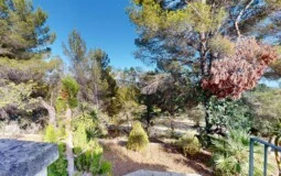Finca in Calvià Village - F-Calvia-128-05312024_143420
