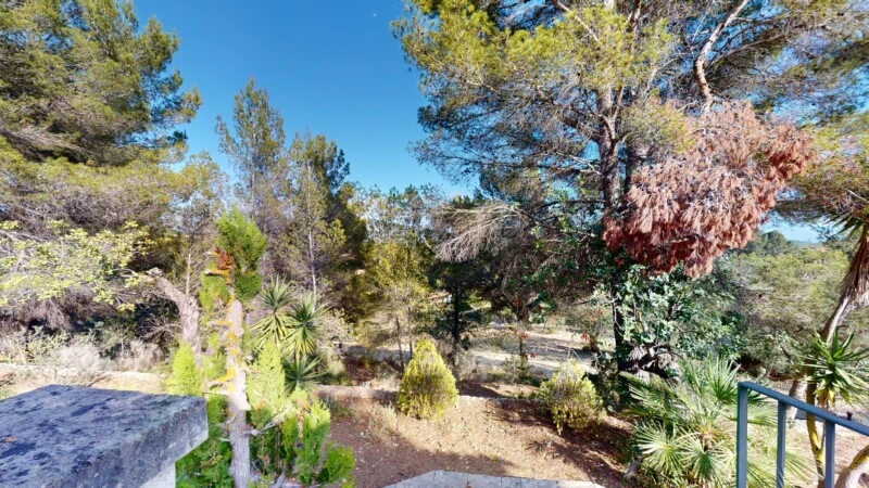 Finca in Calvià Village - F-Calvia-128-05312024_143420