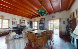 Finca in Calvià Village - F-Calvia-128-05312024_143058