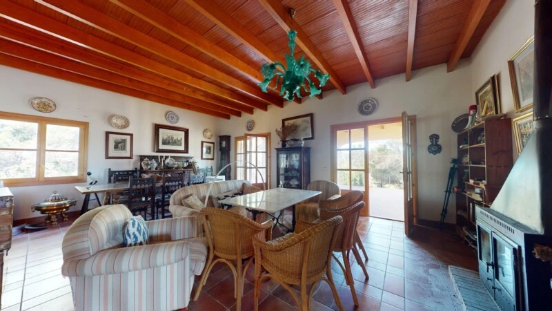 Finca in Calvià Village - F-Calvia-128-05312024_143058