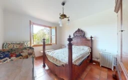 Finca in Calvià Village - F-Calvia-128-05312024_143128