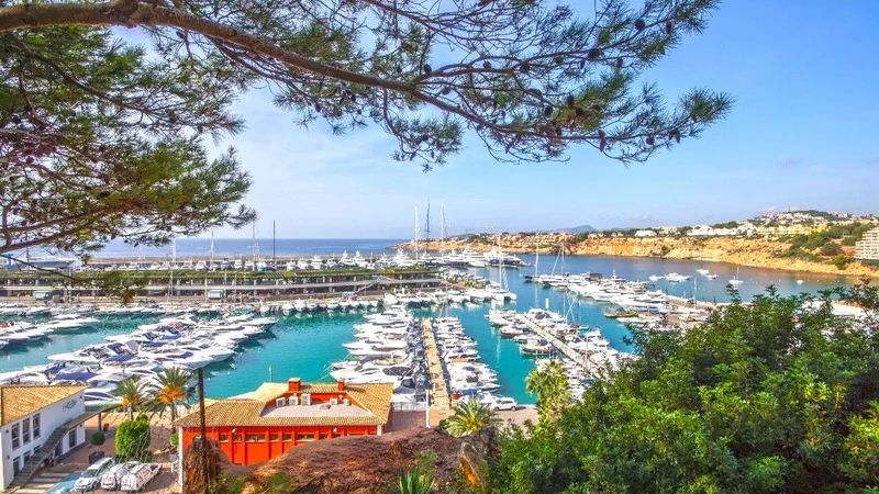 Apartment in El Toro - Port Adriano - GARDEN (3)-for exterior exposes