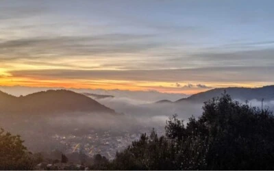 Finca in Esporles - Captura4
