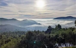 Finca in Esporles - Captura29