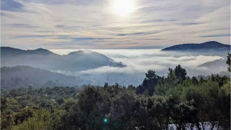 Finca in Esporles - Captura29