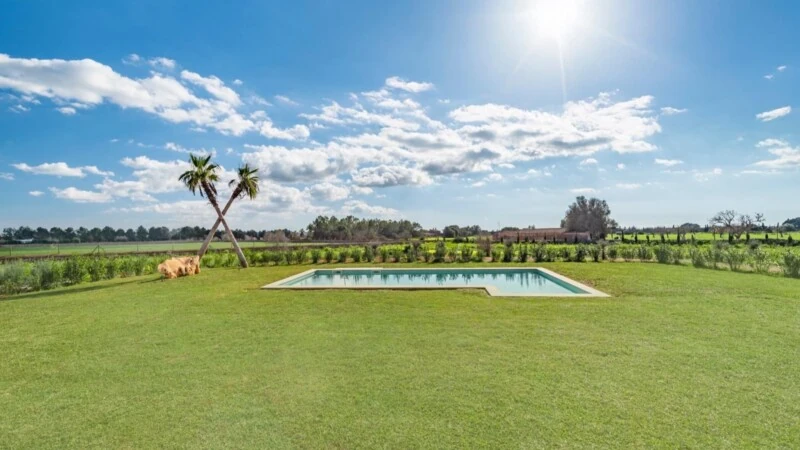 Finca in Campos - IMG-20250310-WA0024