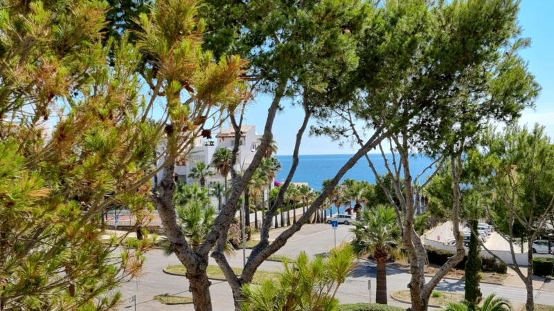 Penthouse in Santa Ponsa - IMG-20250411-WA0014