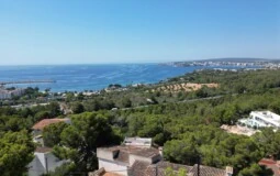 Detached Villa in Costa D´en Blanes - DJI_0125