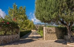 Finca in Binissalem - WhatsApp Image 2025-09-29 at 15.46.54 (1)