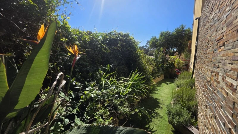 Villa in El Toro - Port Adriano - WhatsApp Image 2026-04-17 at 10.58.14 (3)